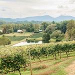 Crane Creek Vineyards