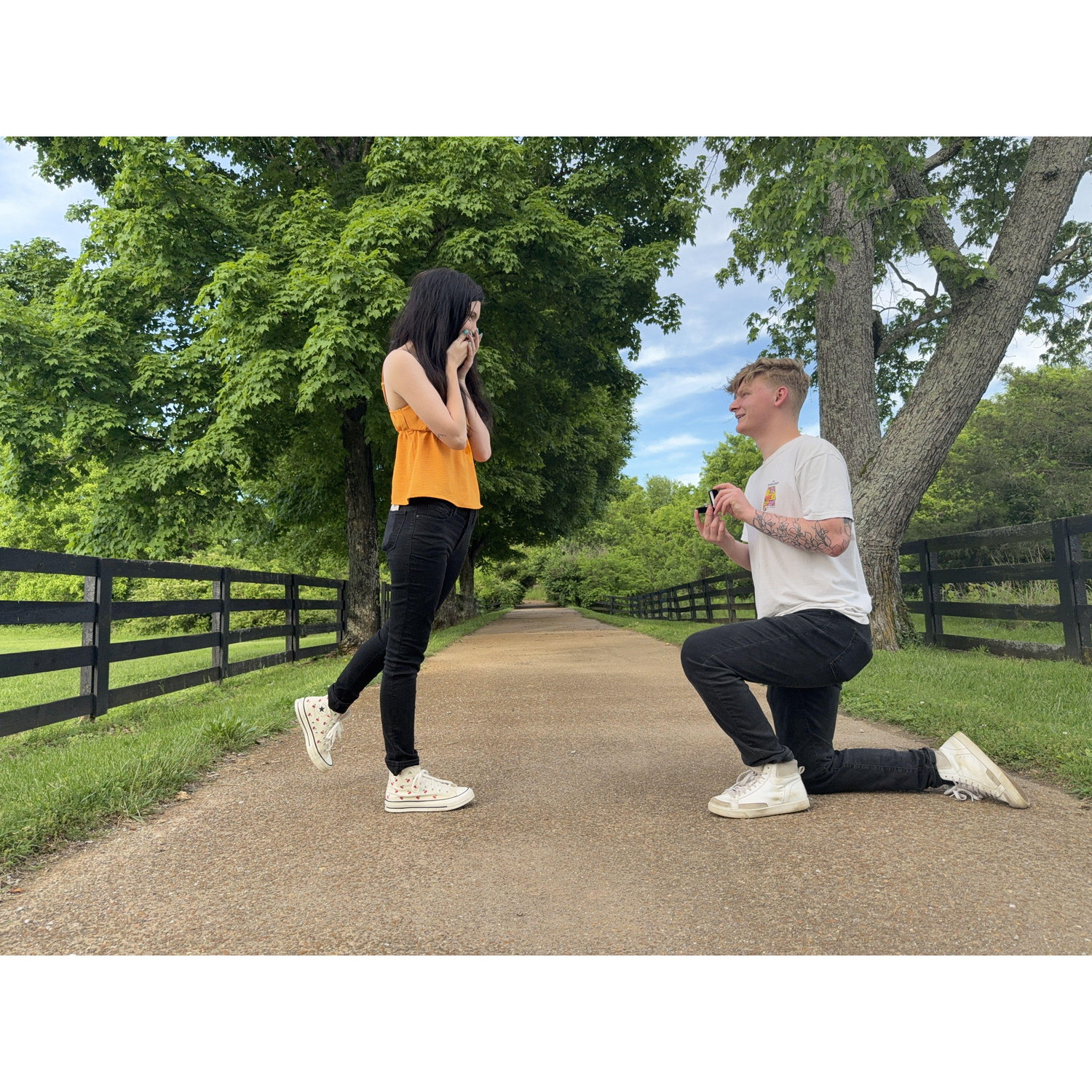 The Proposal