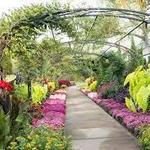 Stroll through Cheekwood Botanical Gardens