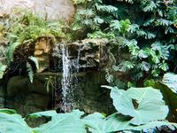 San Antonio Botanical Garden