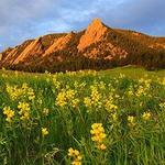Flatirons