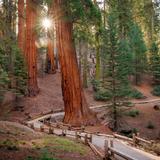 Sequoia National Park