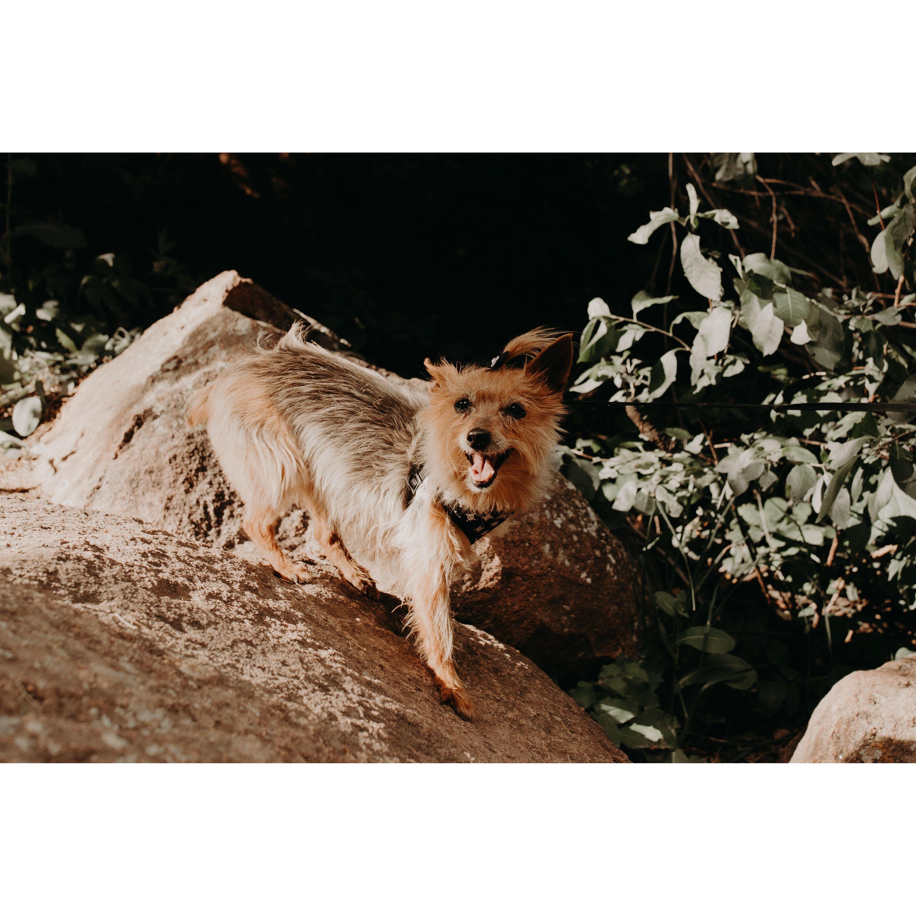 Engagement shoot