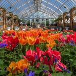 Phipps Conservatory and Botanical Gardens