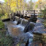 Deer Grove Forest Preserve
