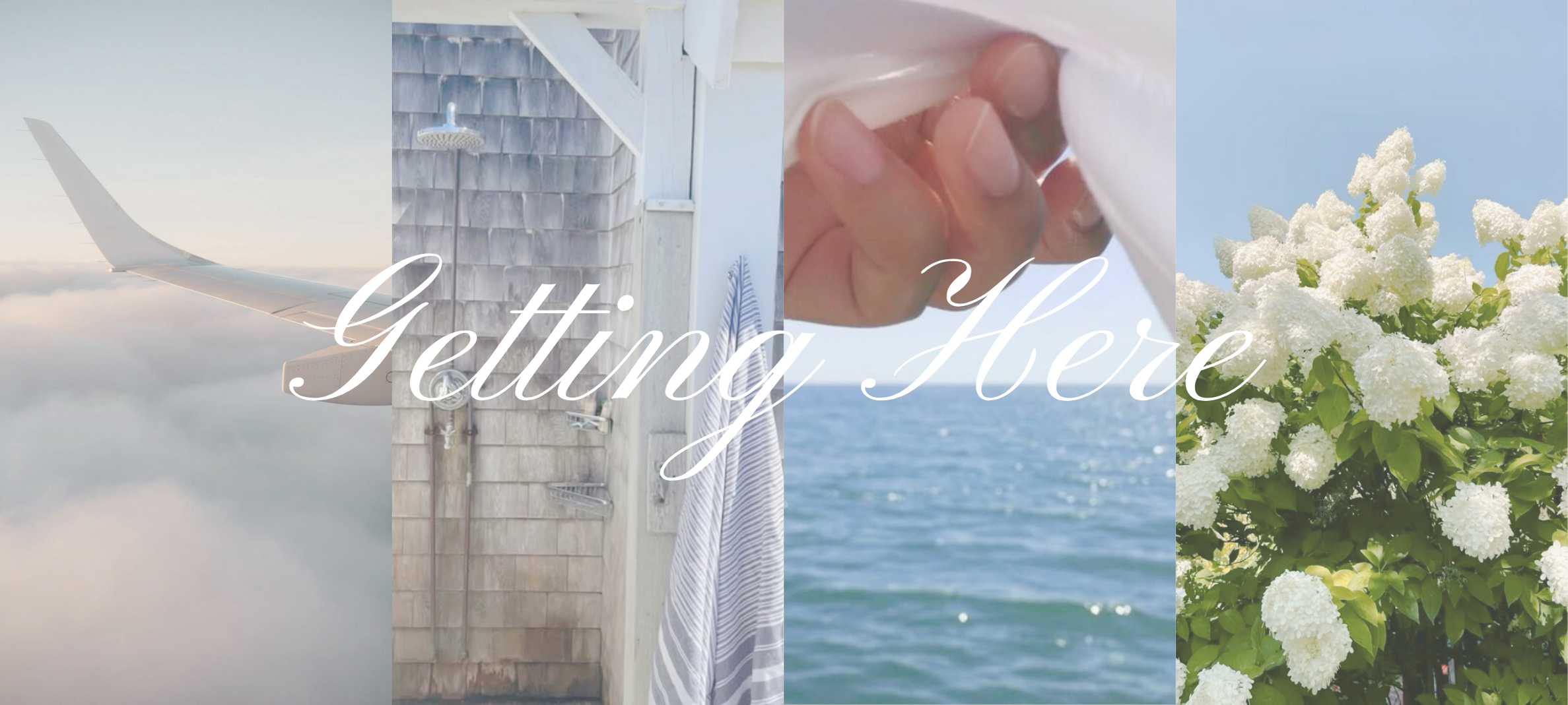 The Wedding Website of Lindsey Medd and Finn Goonan