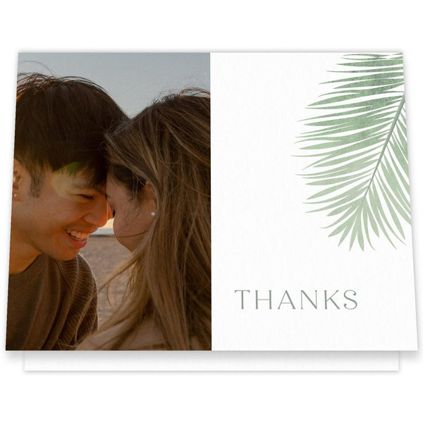 Curacao Photo | Café au Lait | Zola Thank You Cards