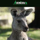 Urimbirra Wildlife Park