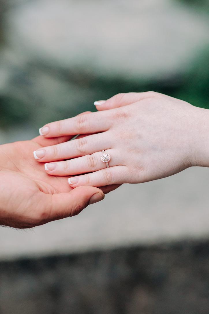 The Wedding Website of Alyssa D. Friedman and Colin J. Gowe