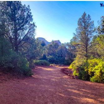 A photo of long canyon trail. What the trail primarily looks like before the scramble to the cave.