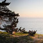 Douglas Family Preserve