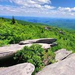 Rough Ridge Lookout - Grandfather Mountain, NC.
