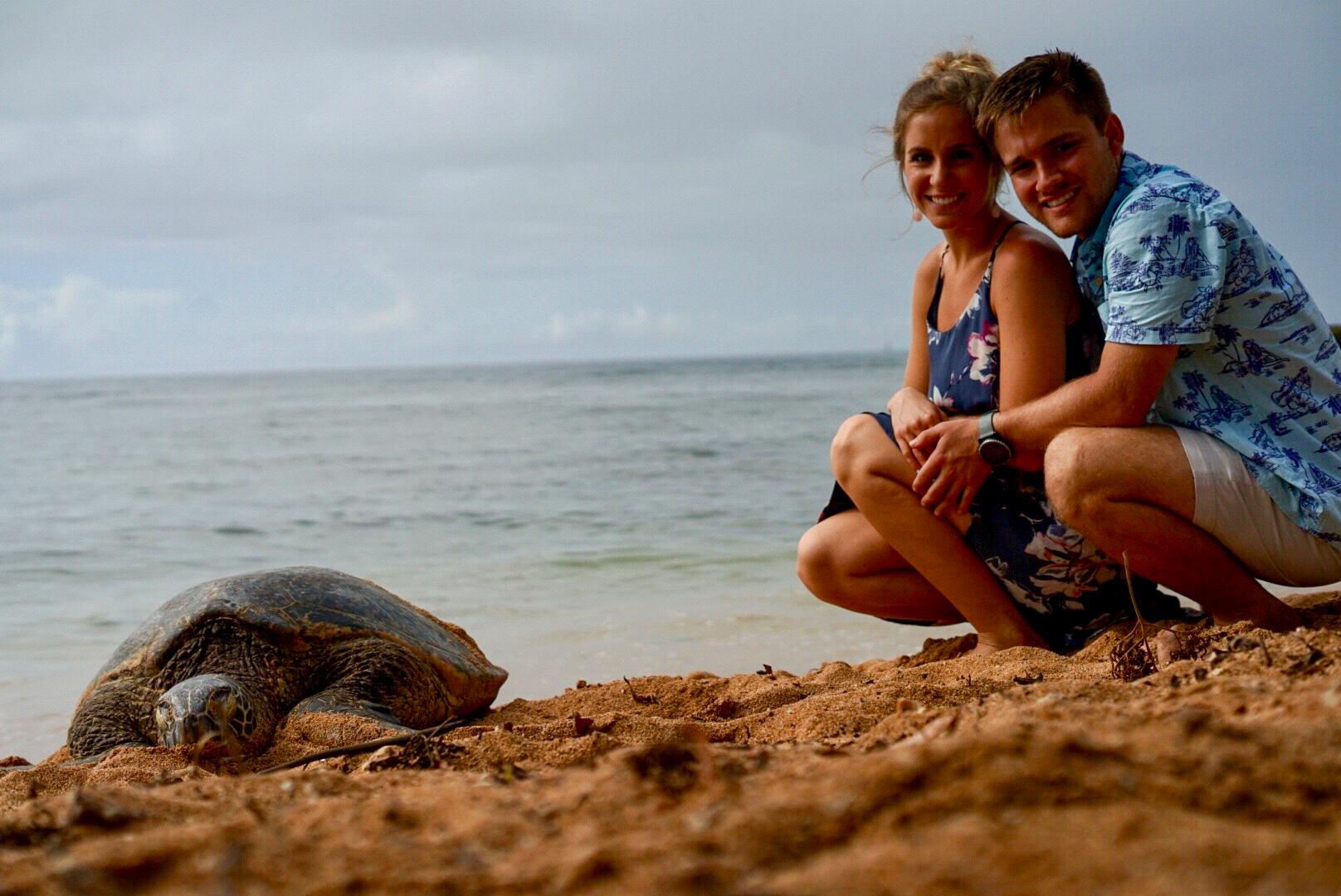 Brock’s first time seeing a sea turtle!