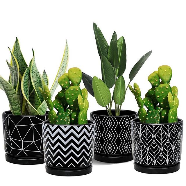Flower Pots,5.5 Inch Succulent Pots with Hole,Indoor Cylinder Ceramic Planters with Saucer,Black Cactus Planters with Drainage,Outdoor Garden Pots Set of 4