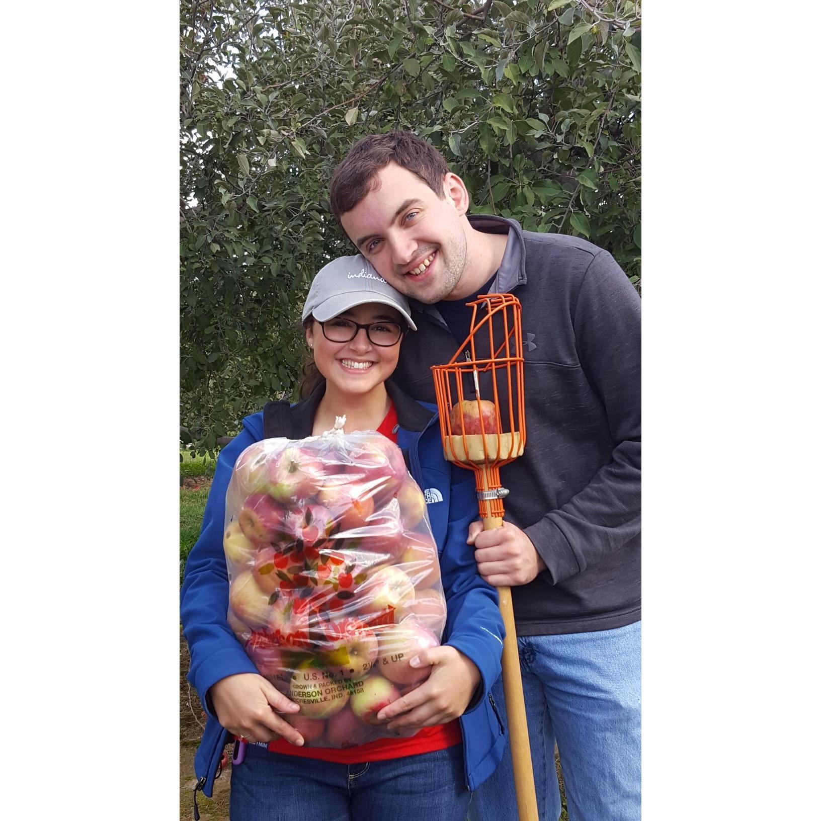 Apple picking at an orchard west of Indianapolis. Kyle was the one who was tall enough to get the apples, but Chloe always saw the best ones first.
