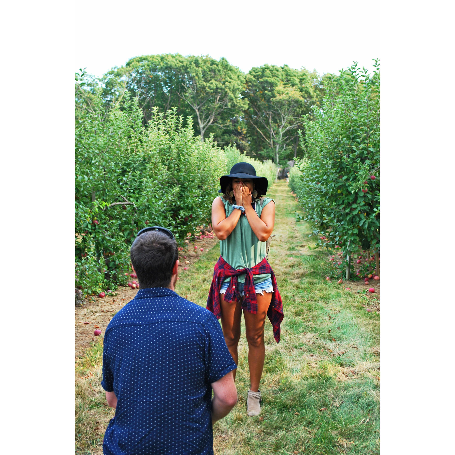 The Proposal