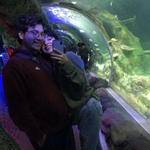 SEA LIFE Charlotte-Concord