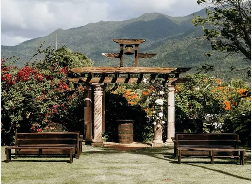 The Wedding Website of Tiffany Miranda and Jeff Davenport