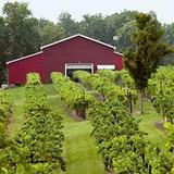 Amber Falls Winery & Cellars
