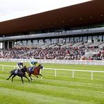 The Curragh Racecourse