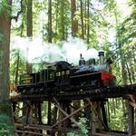 Roaring Camp Railroad