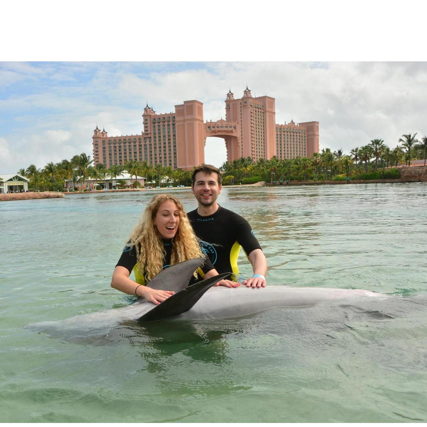 dolphin belly rub