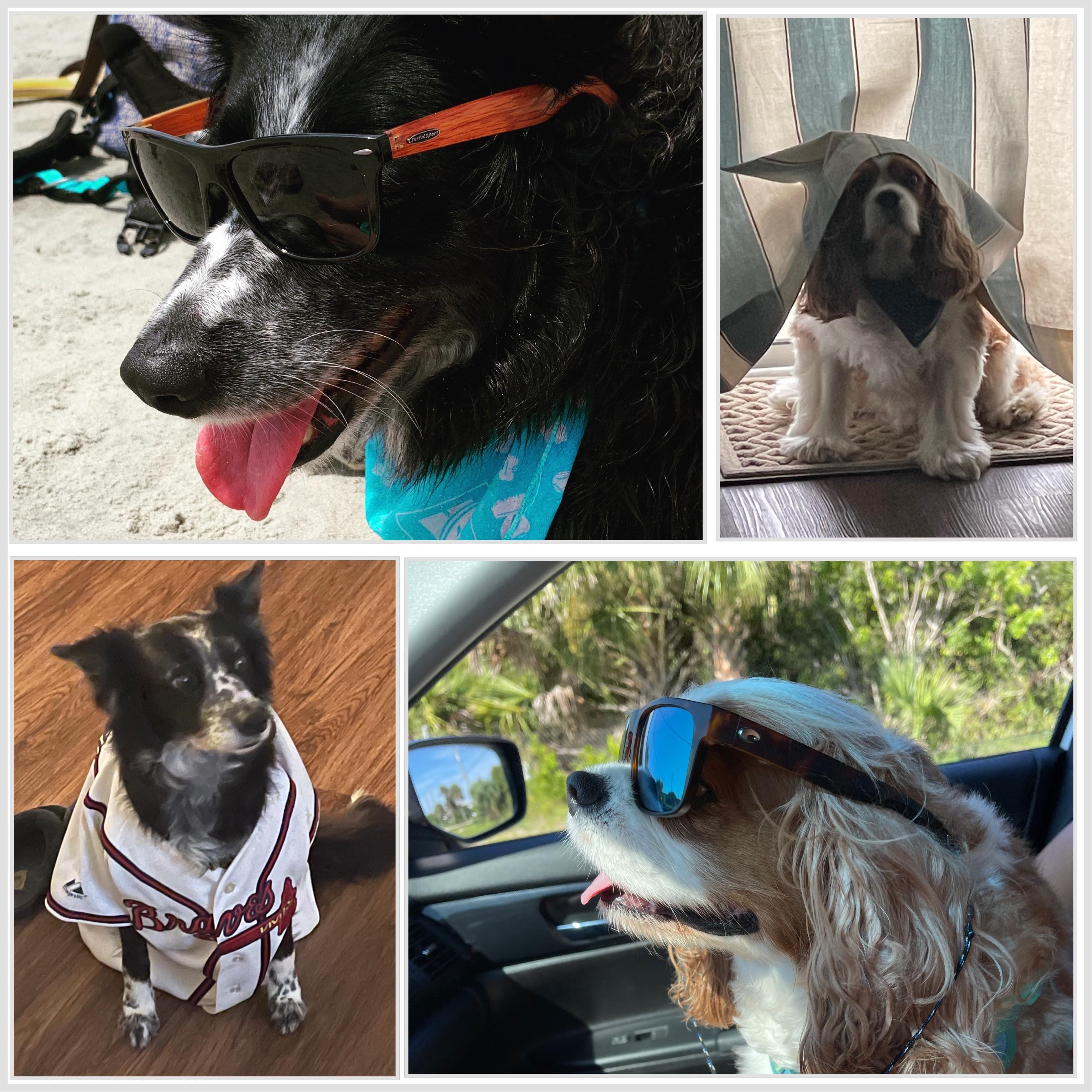 The Wedding Website of Anna Romein and Christopher Meredith