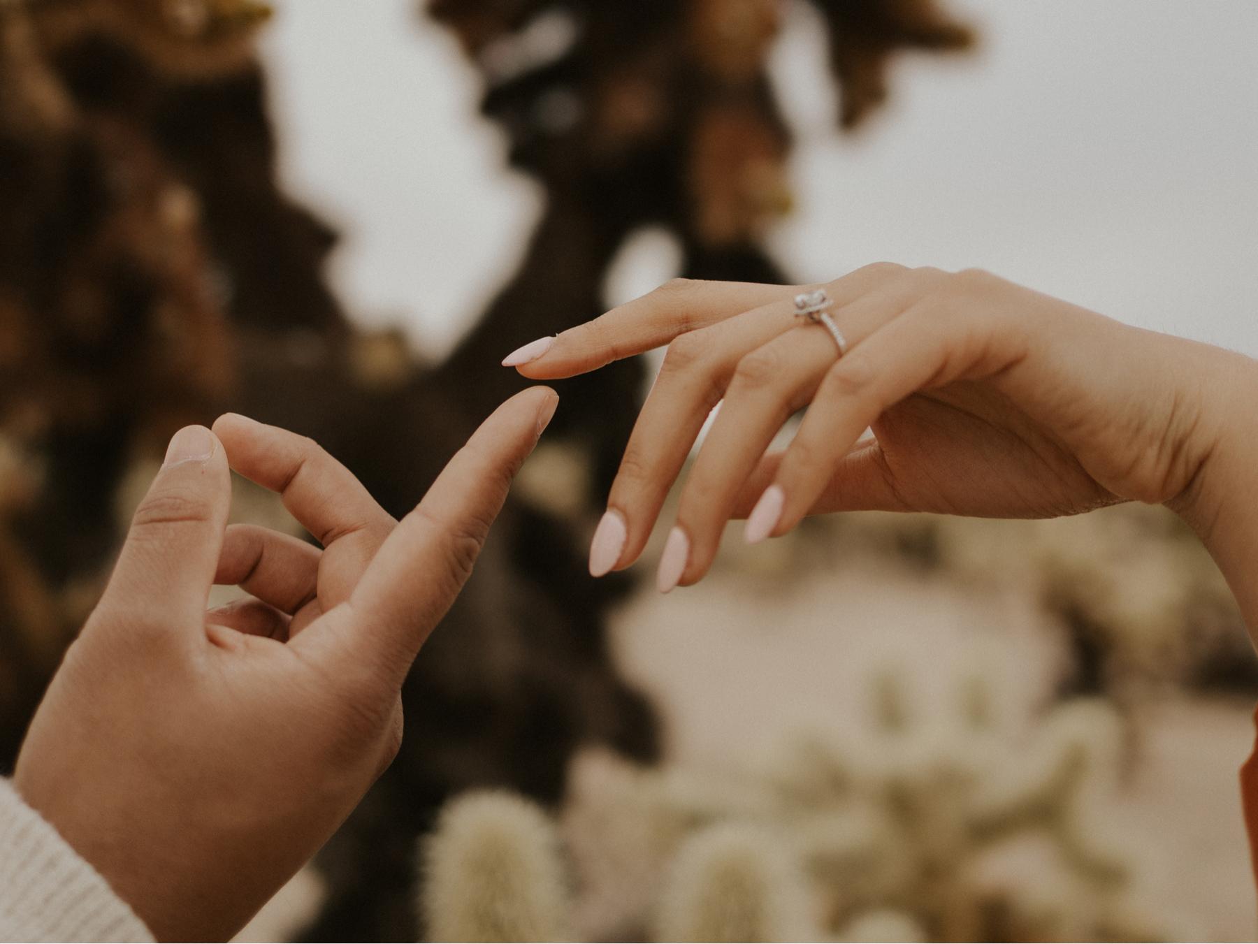 The Wedding Website of Marisol Rios and Eli Castro