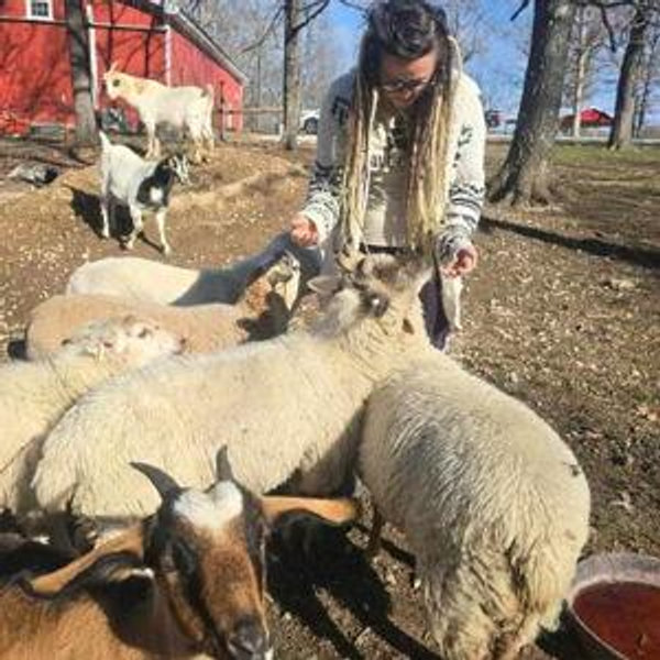 GoatFundMe*- Sponsor a Goat