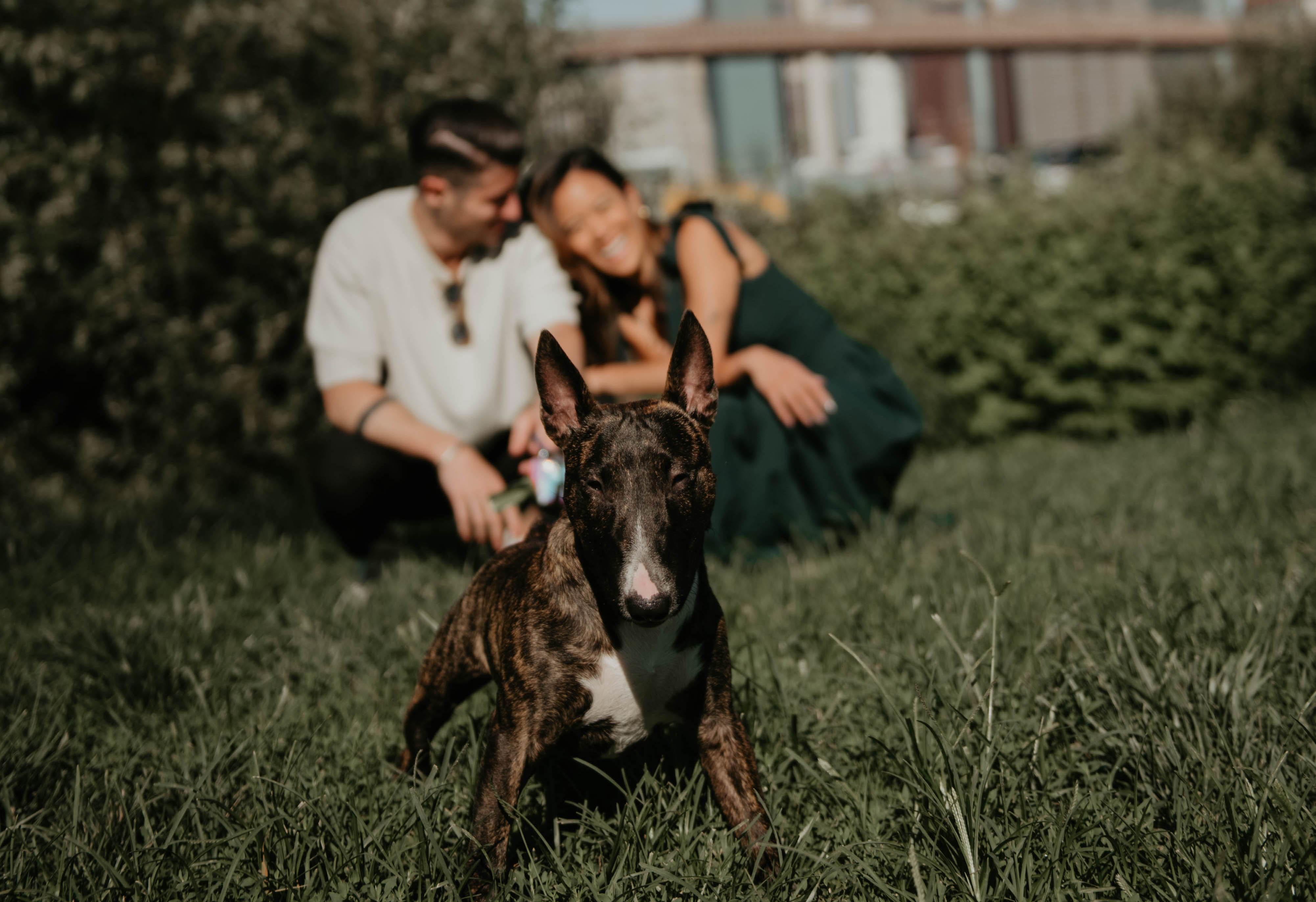 The Wedding Website of Jessica Chang and Nicholas Hartnett