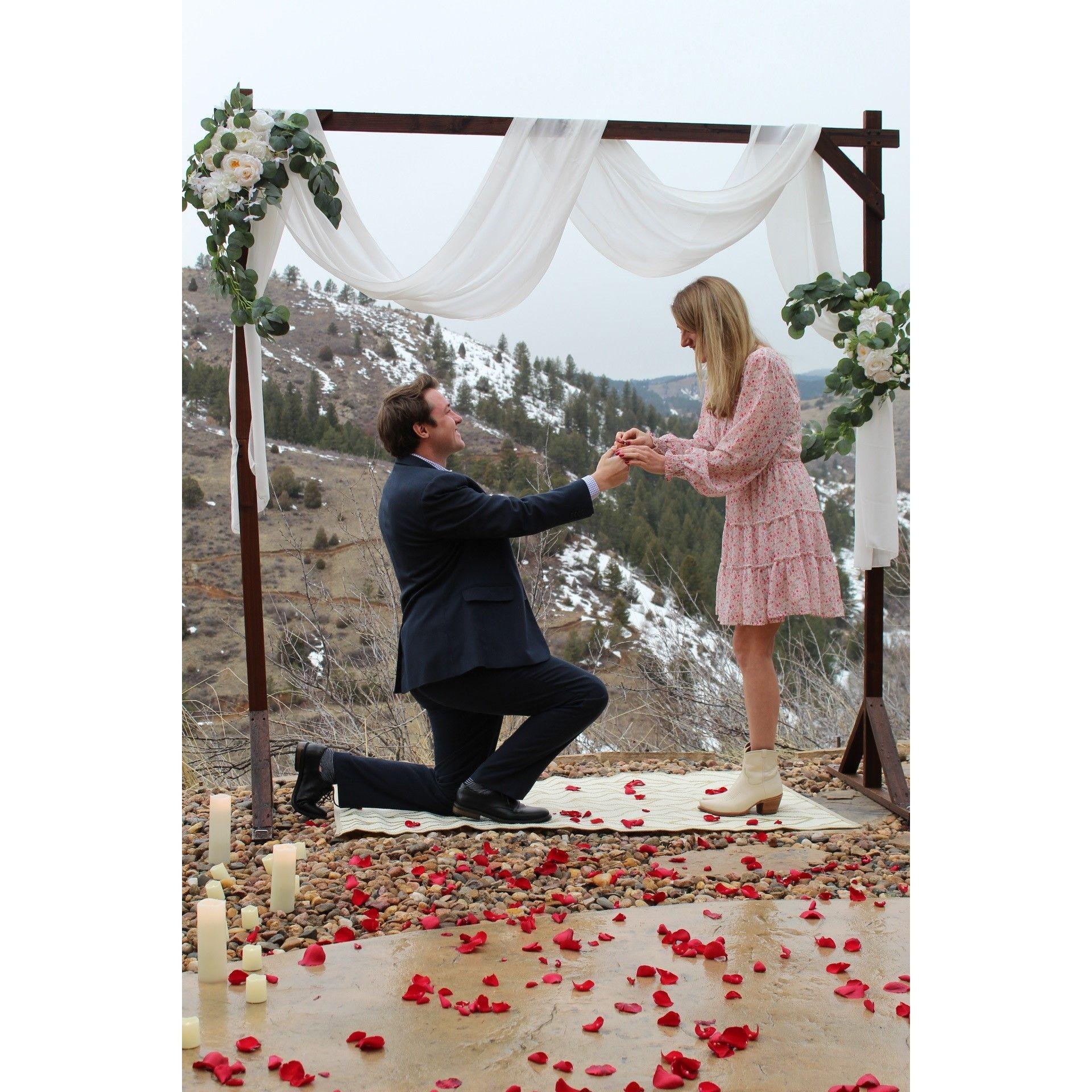 The Proposal