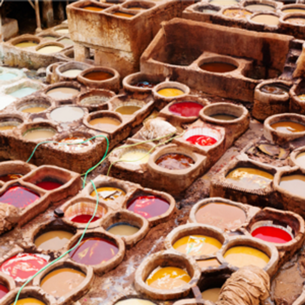 Visit the Chouara Tannery