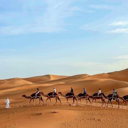 Camel Trek