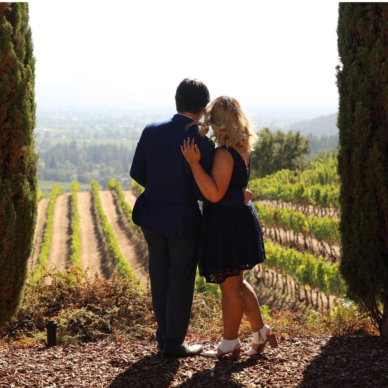 We haven't been able to revisit this winery as it was consumed in the large Napa fire a week after these were taken.