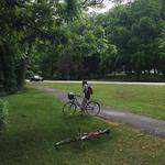 Niagara Parkway