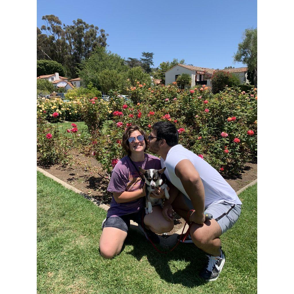 Rose Garden, Santa Barbara, CA, 2022.