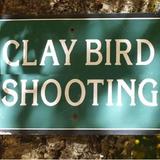 Clay Bird Lessons