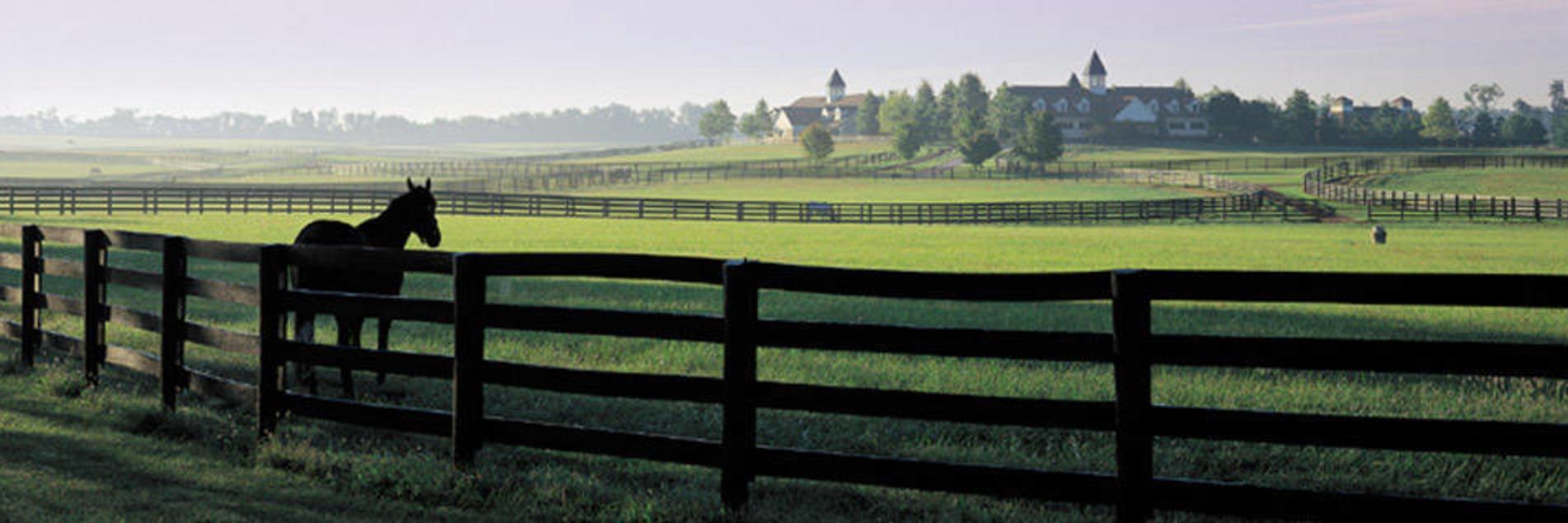 The Wedding Website of Catharine Zimmerman and Christopher Janson