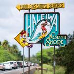 Hale'iwa Town