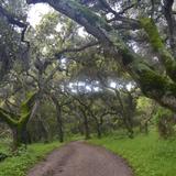 Garland Ranch Regional Park