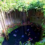 Cenotes of Tulum