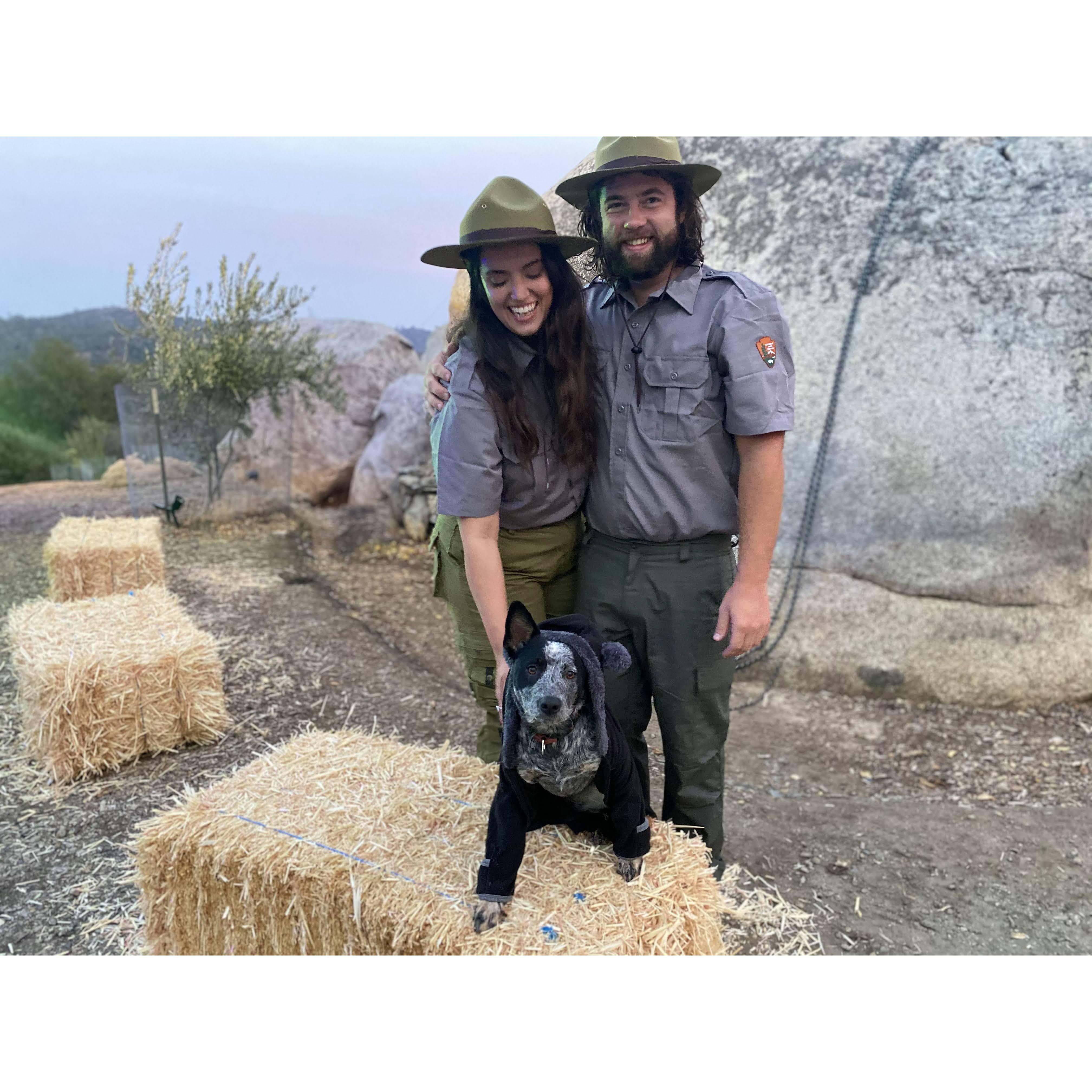 Dressed up as park rangers for Halloween 2020, with Lola as our "little bear."