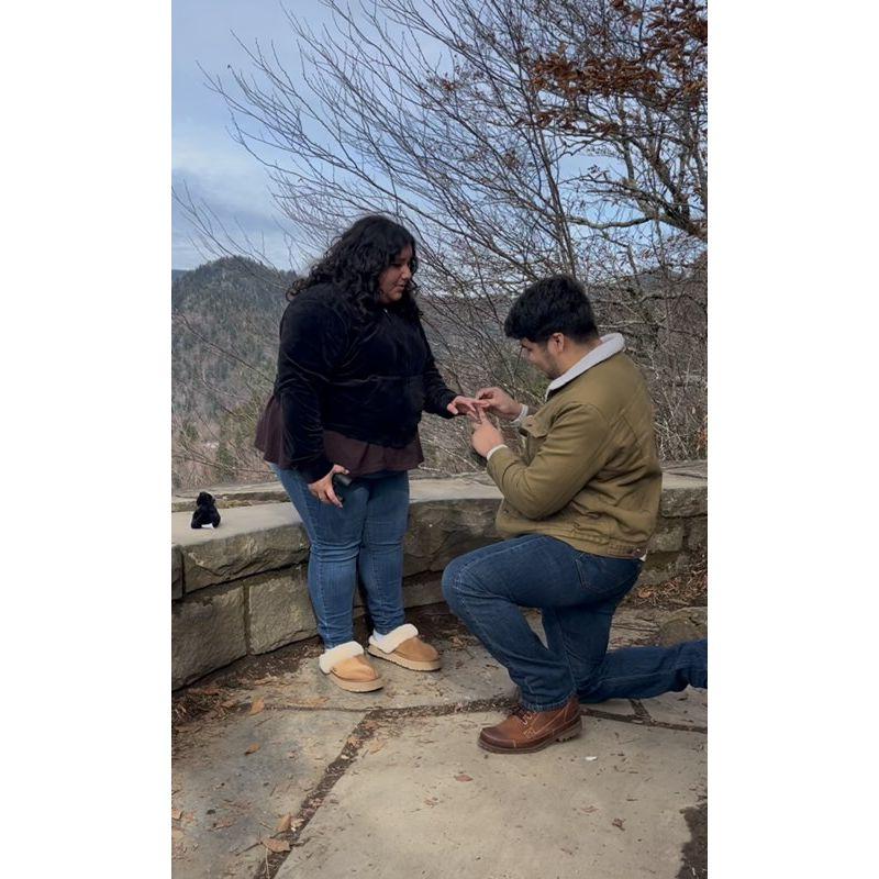 The proposal.