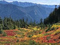 Little Giant Pass Trailhead