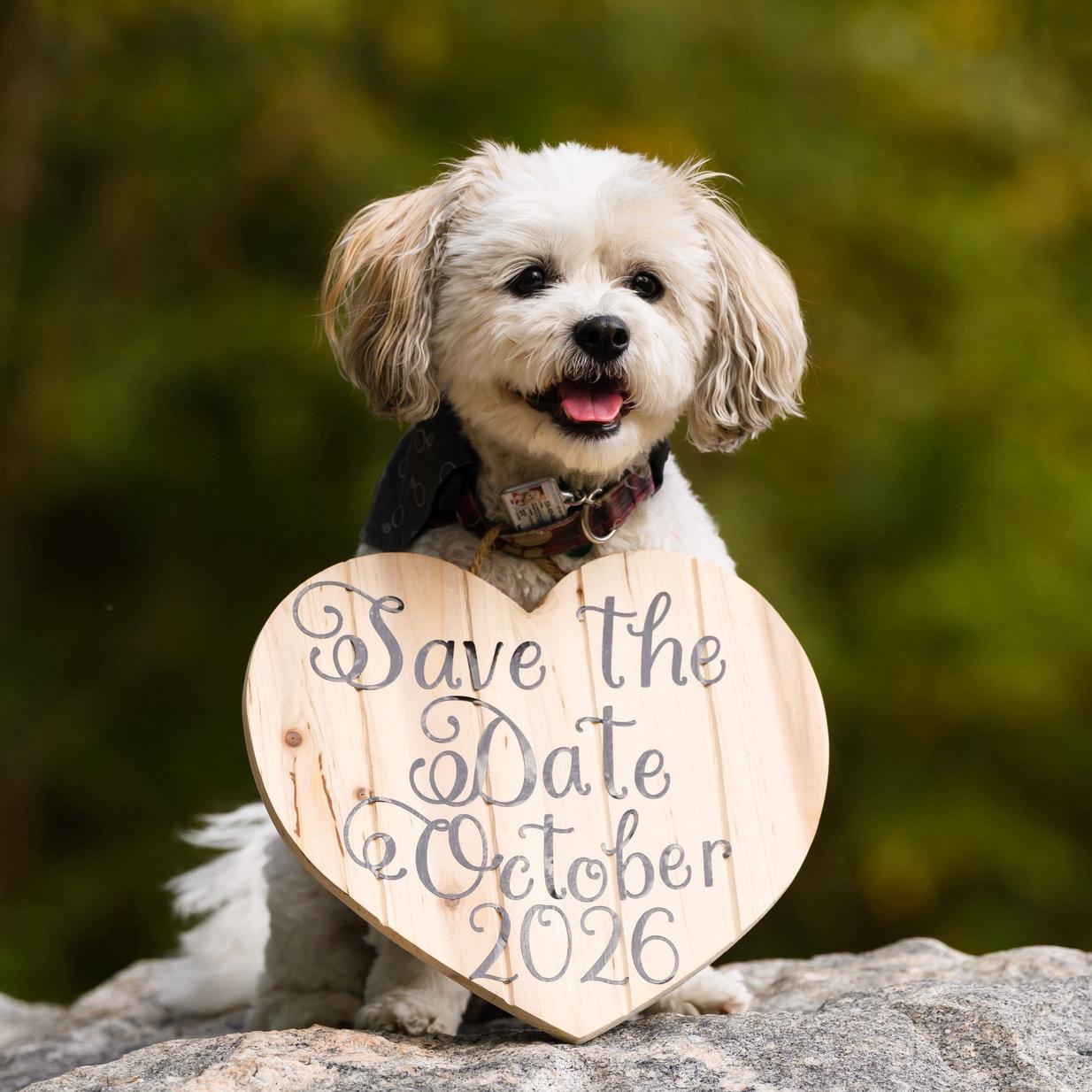 Save the date! 
October 24th 2026