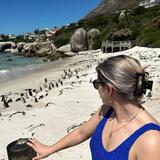 Penguin spotting