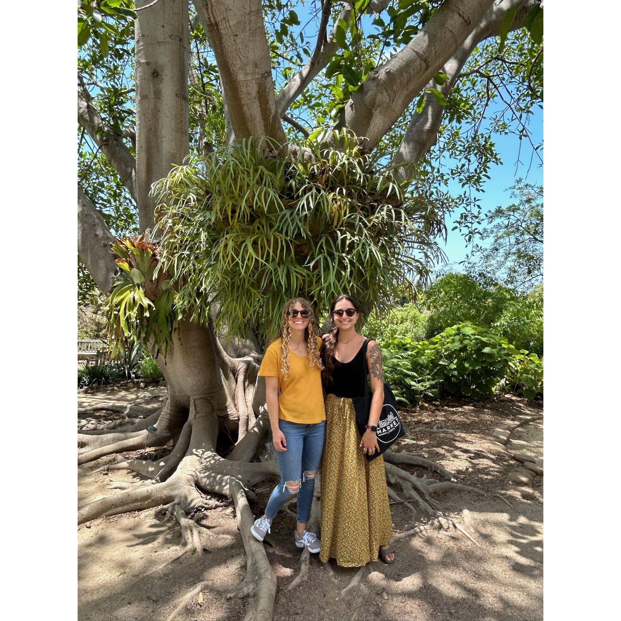 Encinitas Botanical Garden, San Diego - 2023