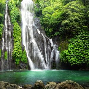 Jungle Journey