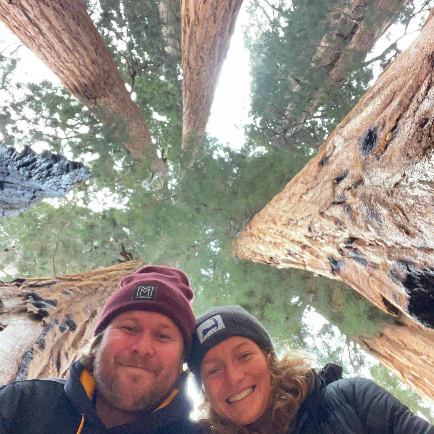Sequoia National Park | December 2024