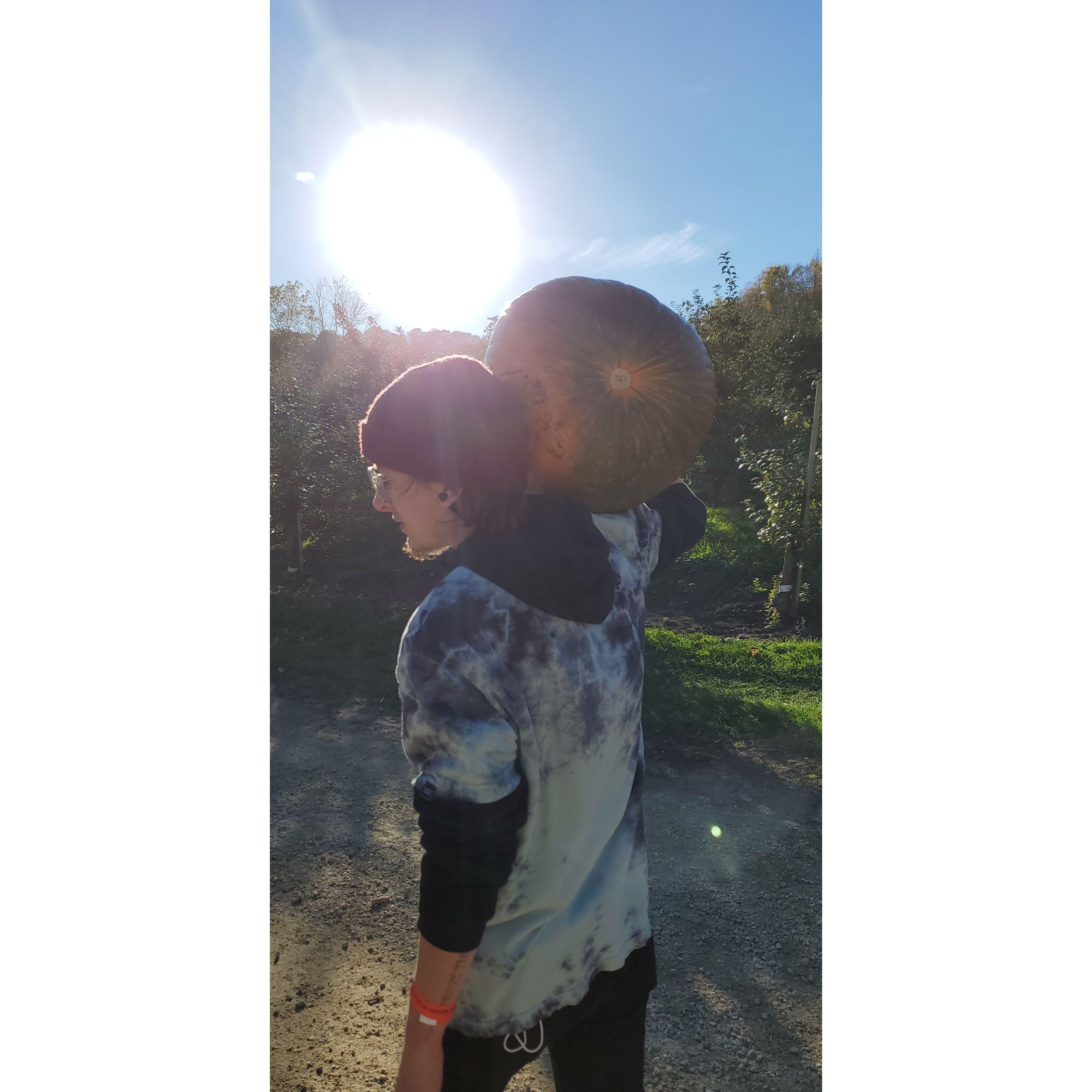 Pumpkin patch October 2021